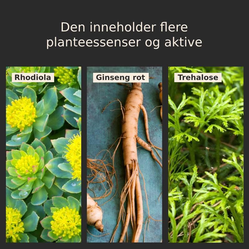 Sopphode luftpute CC-krem (Kampanje 45% RABATT) - Kosteppe