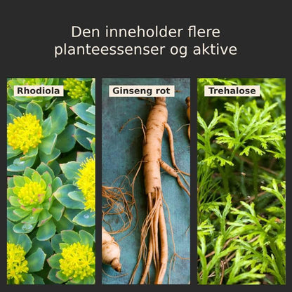 Sopphode luftpute CC-krem (Kampanje 45% RABATT) - Kosteppe