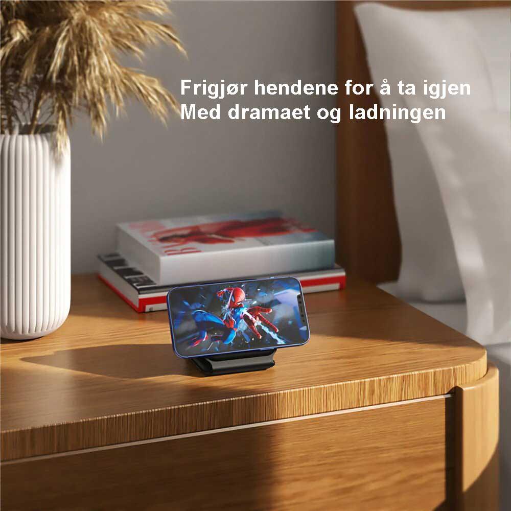 3-i-1 ladestasjon - Kosteppe