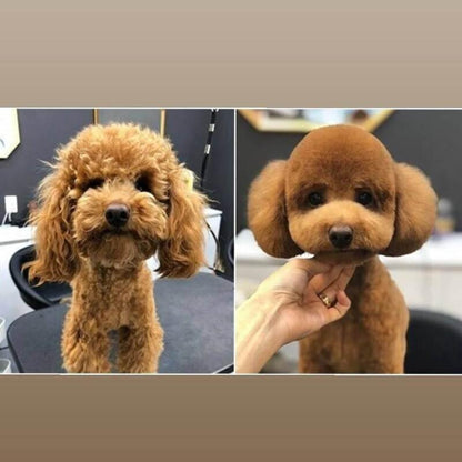 Få hundeklippesett for hjemmepleie med 35% rabatt - Kosteppe